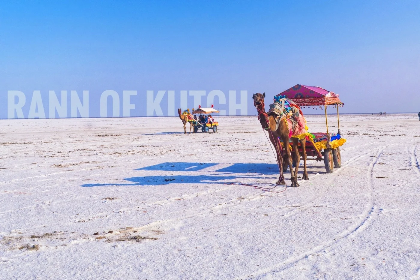 1 Night 2 Days Kutch Tour